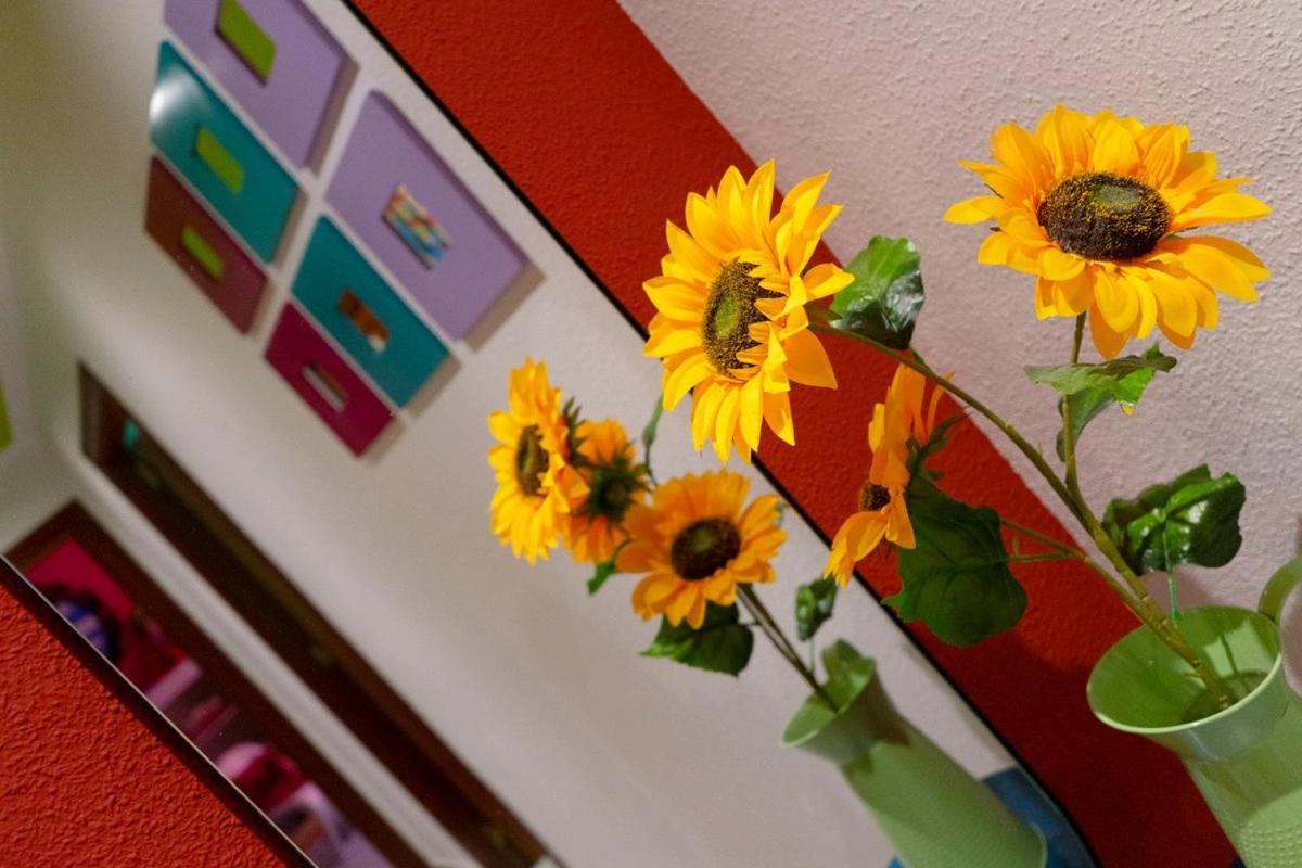 Apartamento Pop-Art, Junto A La Plaza Mayor, By My Home In Salamanca Luaran gambar